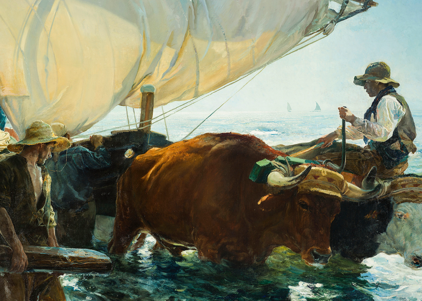 Sorolla