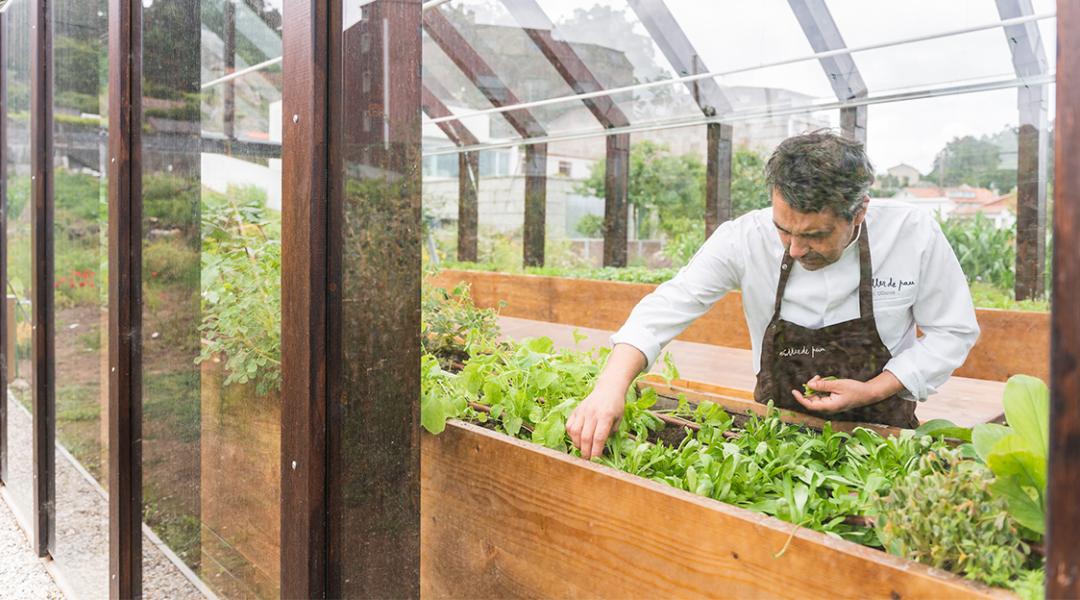 Javier Olleros en su plantación ecológica del ‘Culler de Pau’