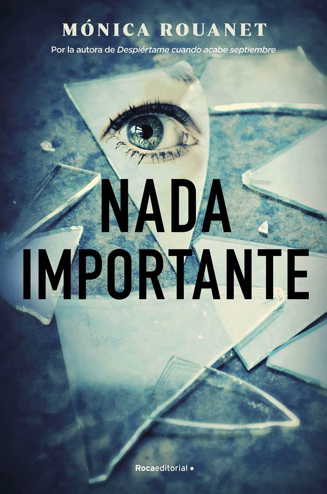 Portada de ‘Nada importante’, la última novela publicada por la escritora Mónica Rouanet